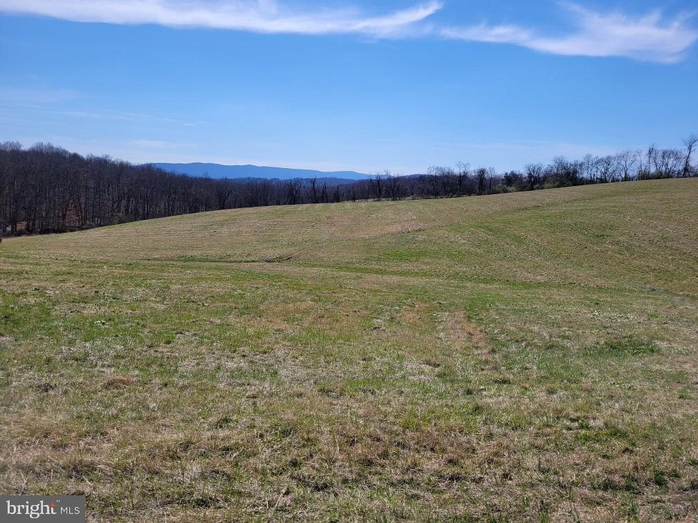 Lot 4 Red Oak Rd Property Photo