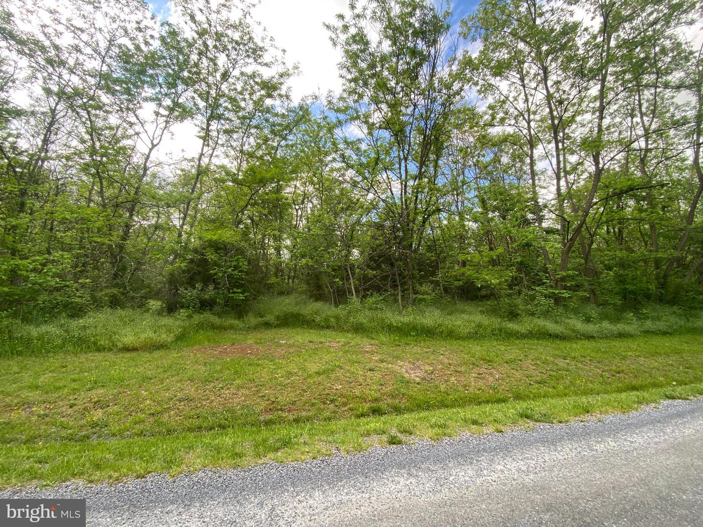 Lot 1 Tavistock Dr Property Photo 5