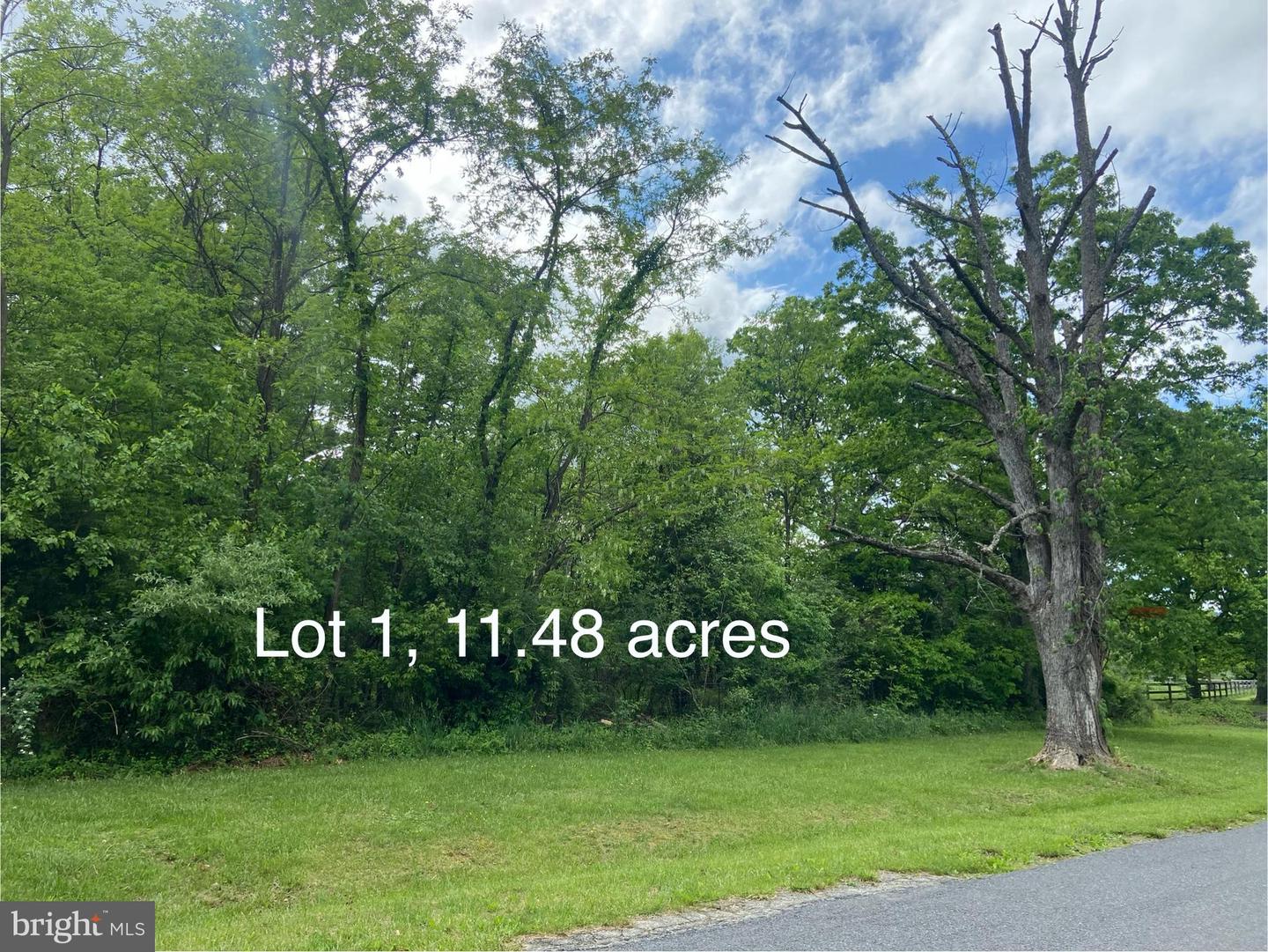 Lot 1 Tavistock Dr Property Photo 7