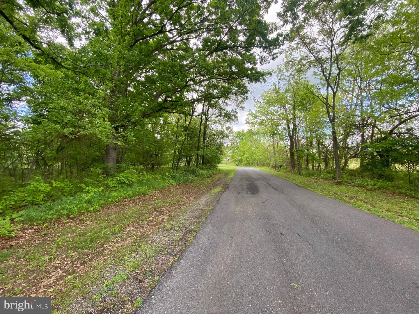 Lot 1 Tavistock Dr Property Photo 8