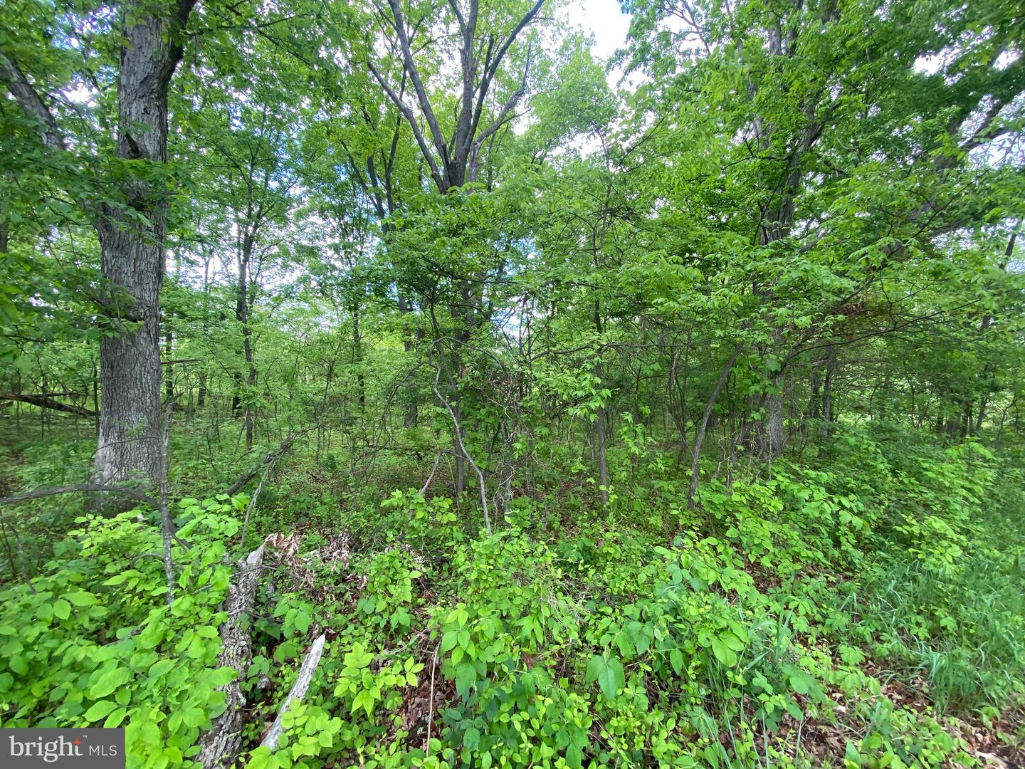 Lot 1 Tavistock Dr Property Photo 9