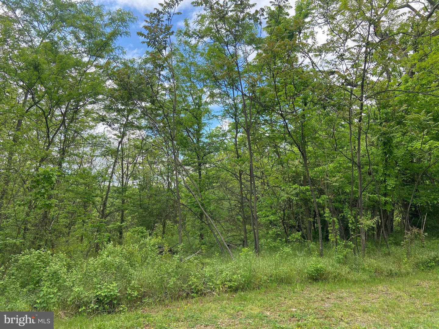 Lot 1 Tavistock Dr Property Photo 11