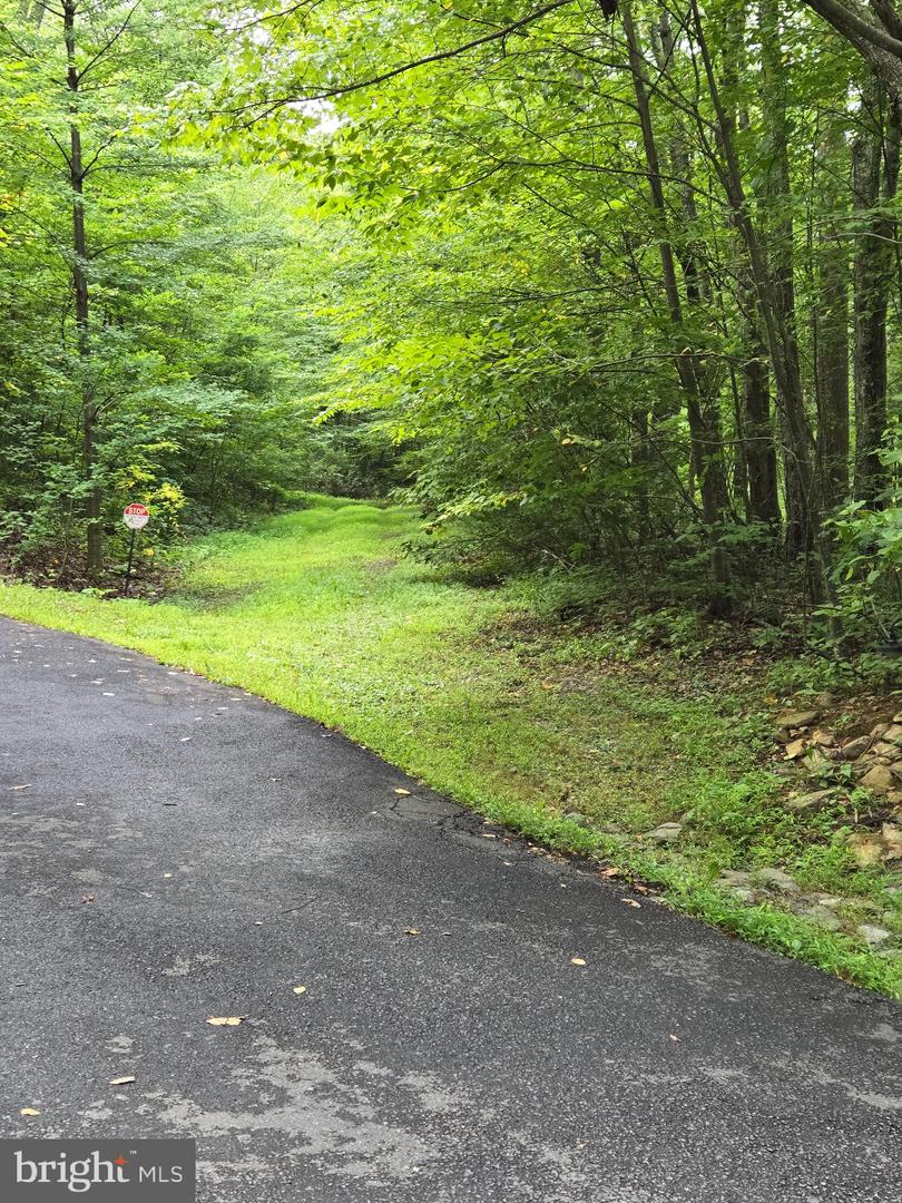 Lot 5j Wardensville Pike Property Photo 5