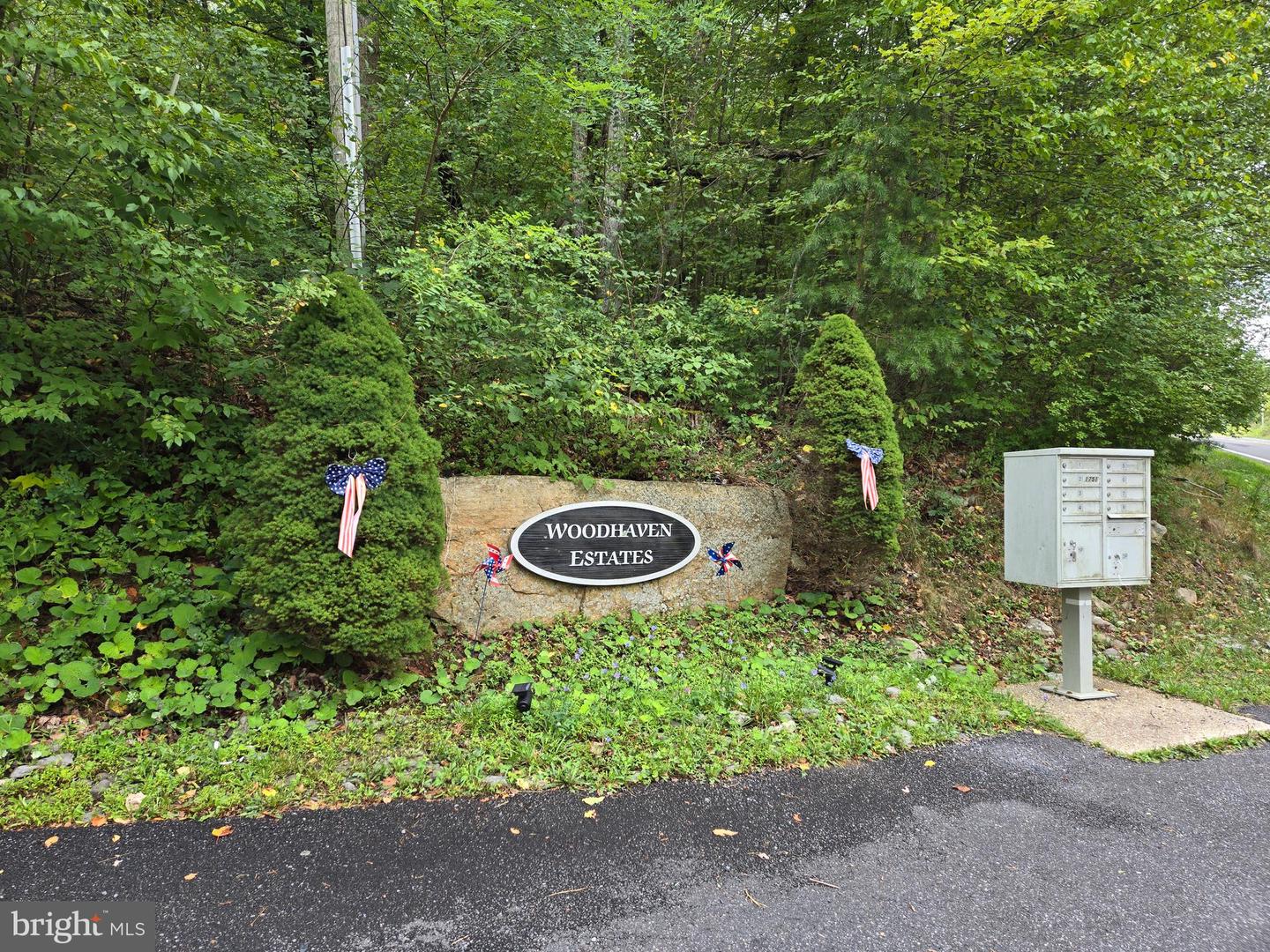 Lot 5l Wardensville Pike Property Photo 1
