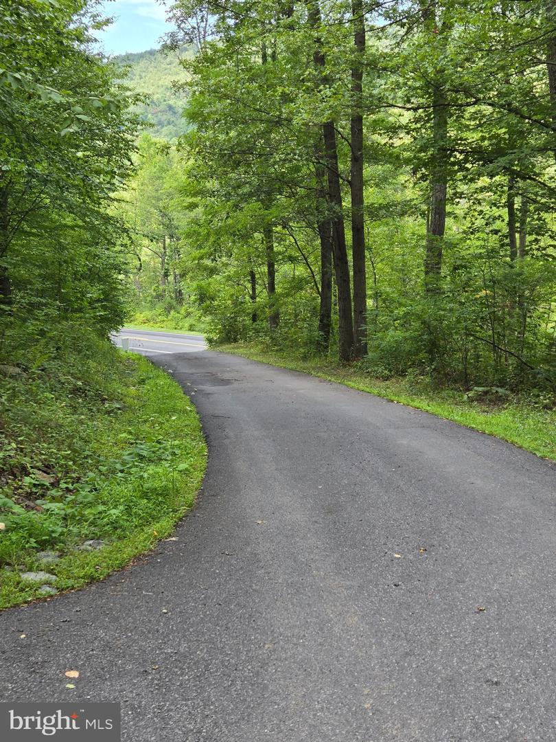 Lot 5l Wardensville Pike Property Photo 2