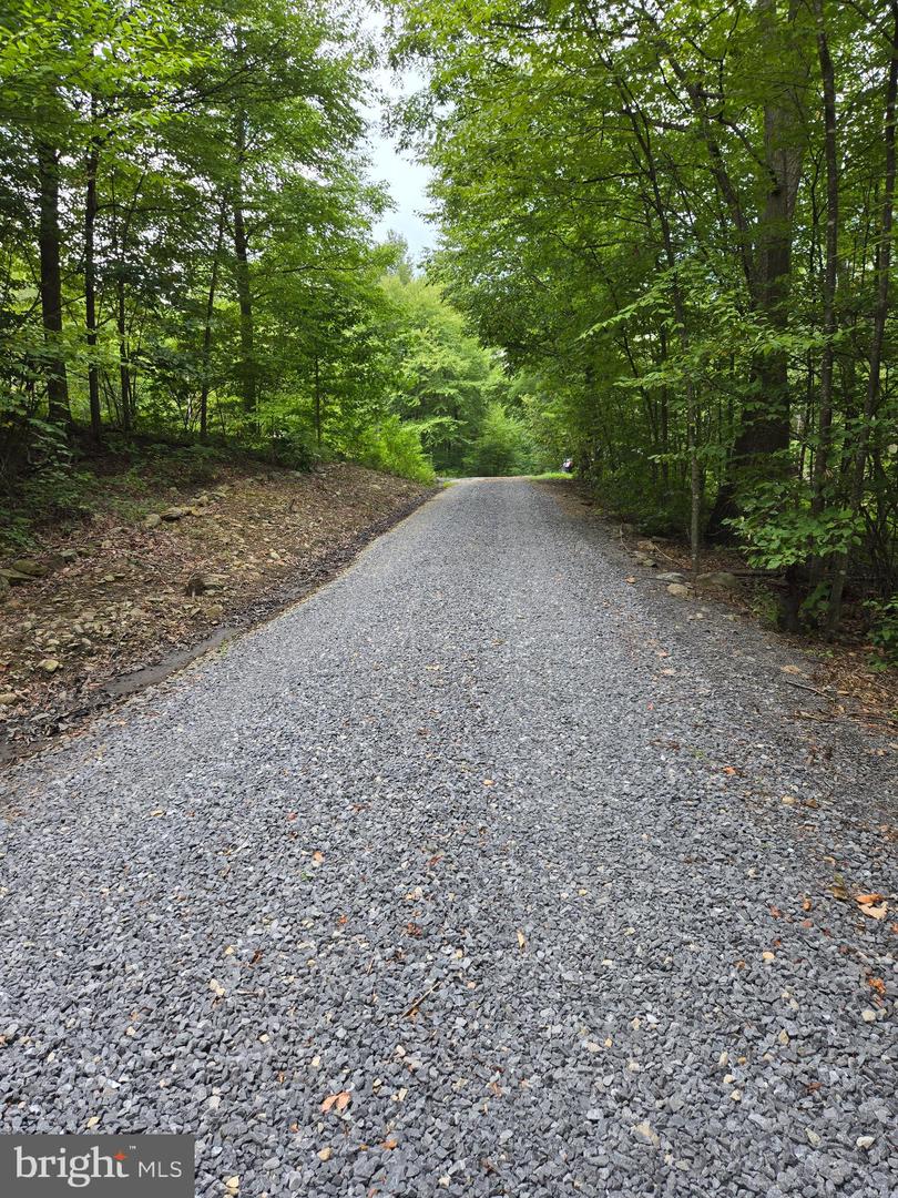 Lot 5l Wardensville Pike Property Photo 3