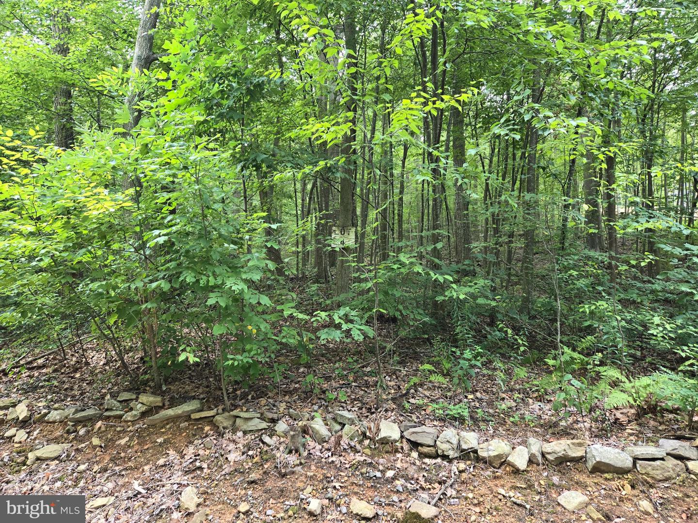 Lot 5l Wardensville Pike Property Photo 5