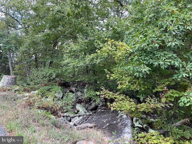 Lot 76 Bear Trl Property Photo 2