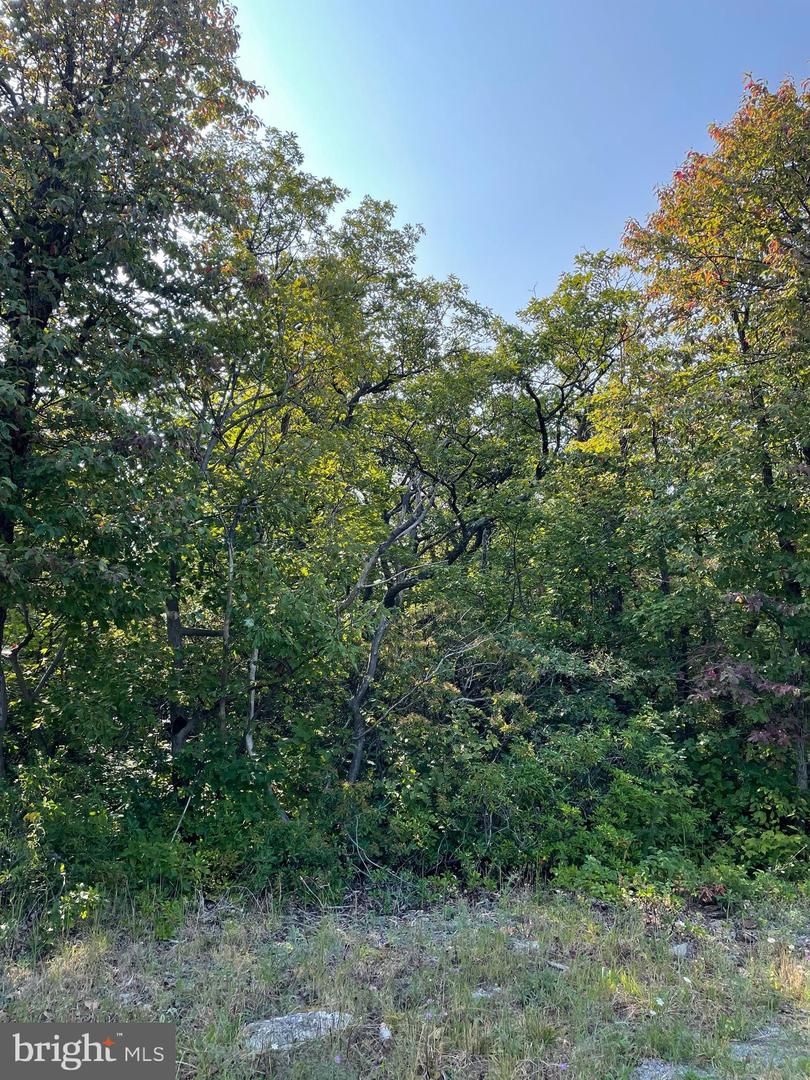 LOT 231 TIMBER RIDGE