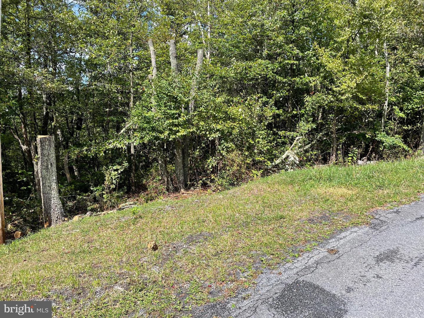 LOT 111 CUB TRL Property Photo 1