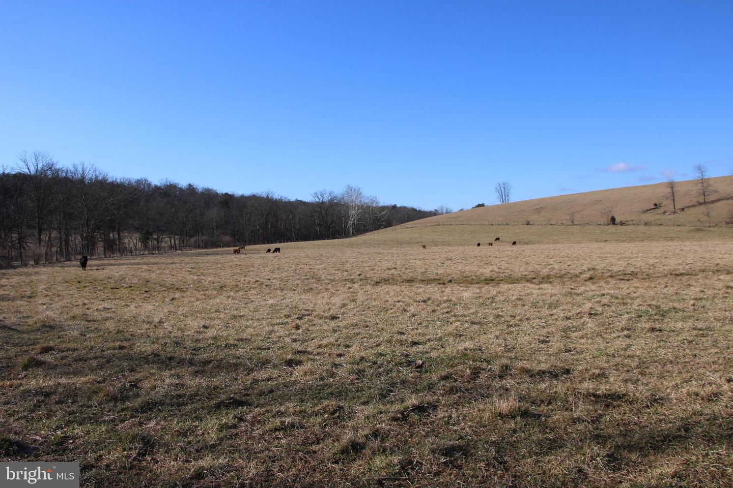 Indian Hollow Rd Property Photo 16