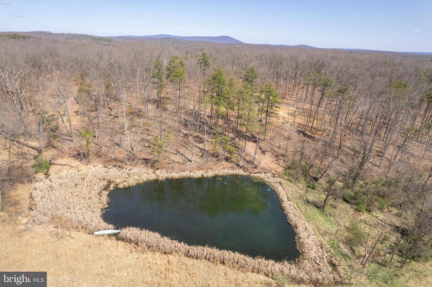 700 Bloomery Pike Property Photo 4