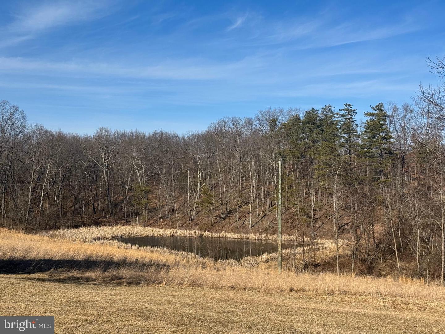 700 Bloomery Pike Property Photo 35