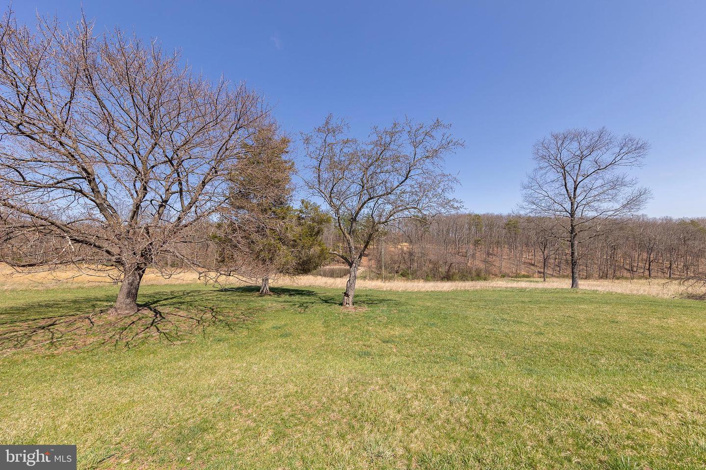 700 Bloomery Pike Property Photo 36