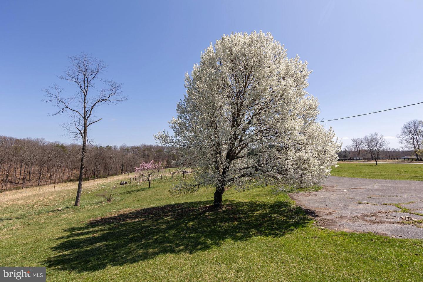 700 Bloomery Pike Property Photo 37