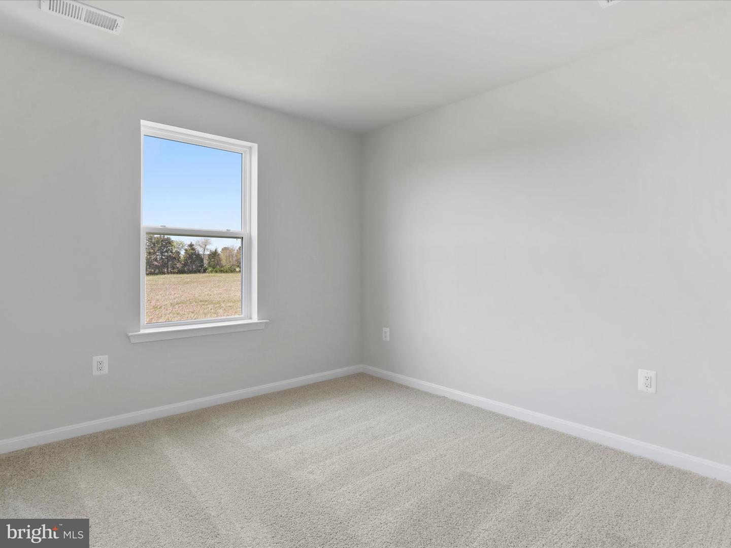 132 Curtain Fall Dr Property Photo 4