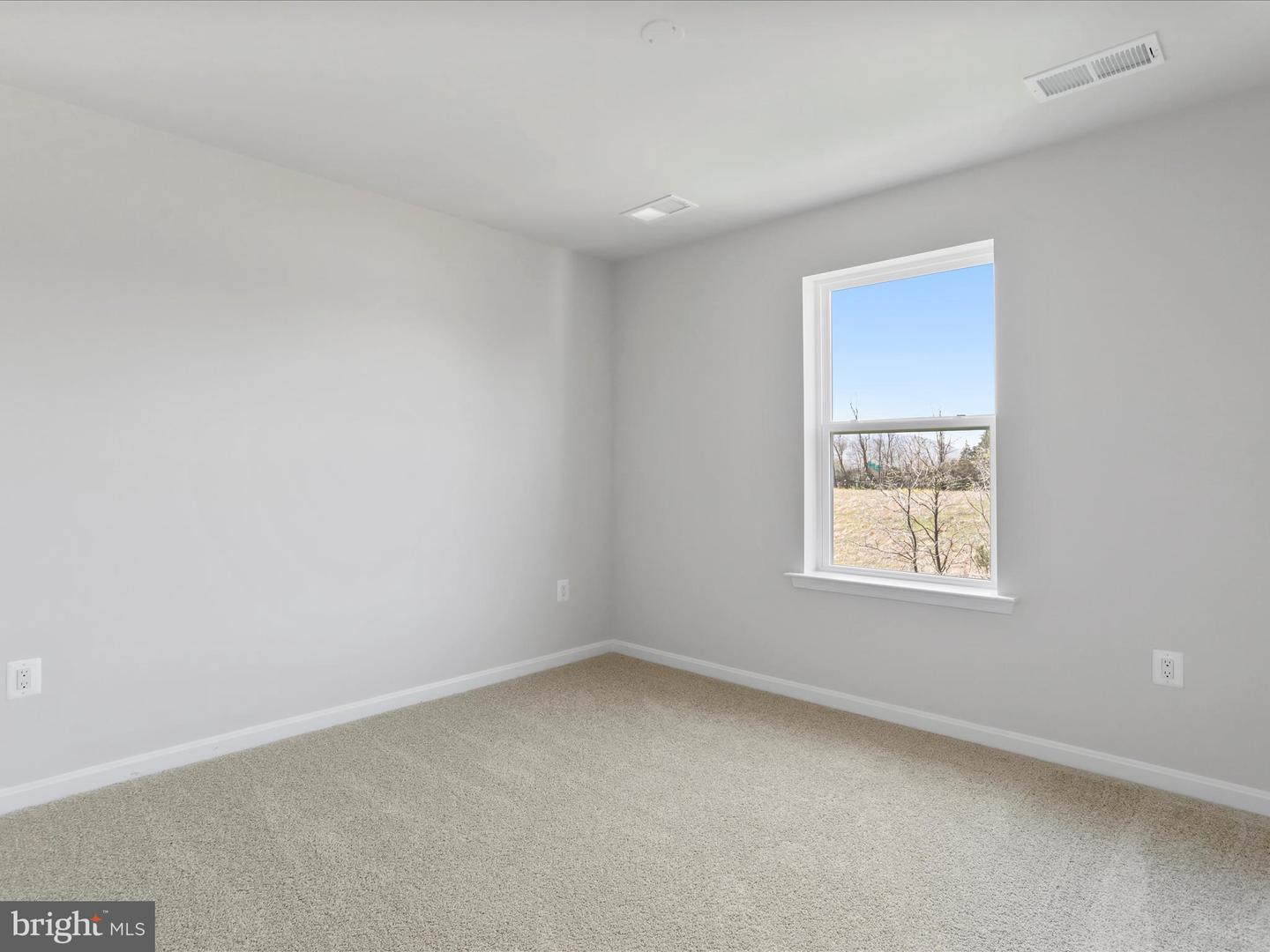 132 Curtain Fall Dr Property Photo 6