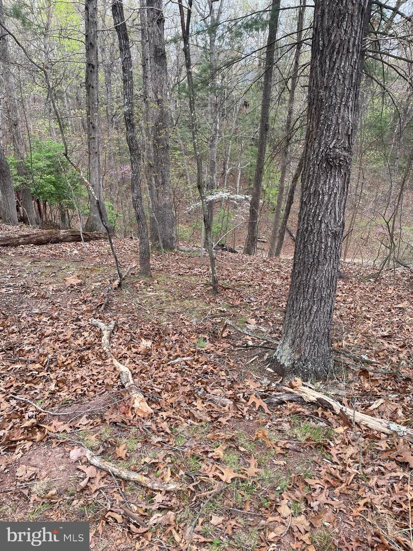 411 Northwood Circle Property Photo 2