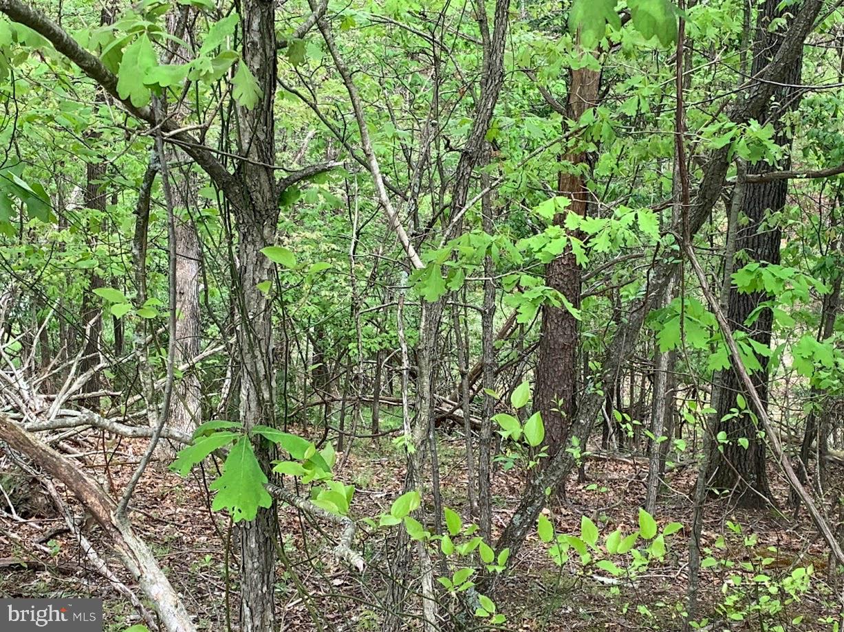Lot #184 Sleigh Property Photo