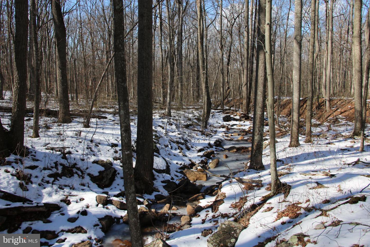 Forest Ln Property Photo 1