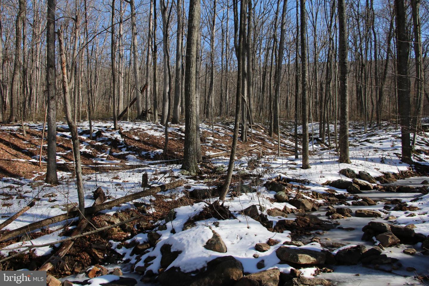Forest Ln Property Photo 2