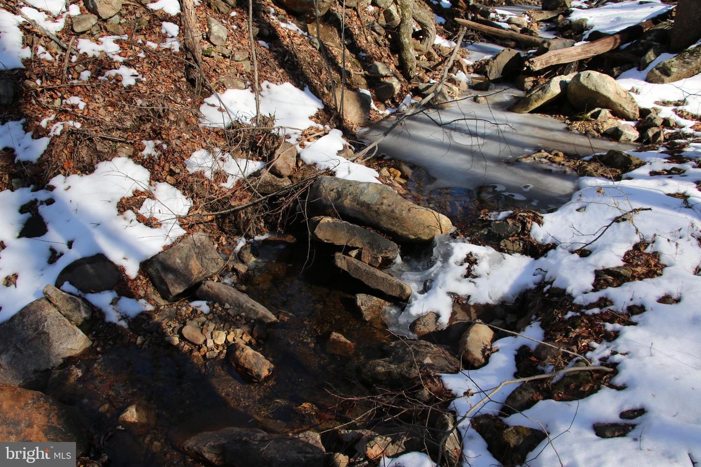 Forest Ln Property Photo 11
