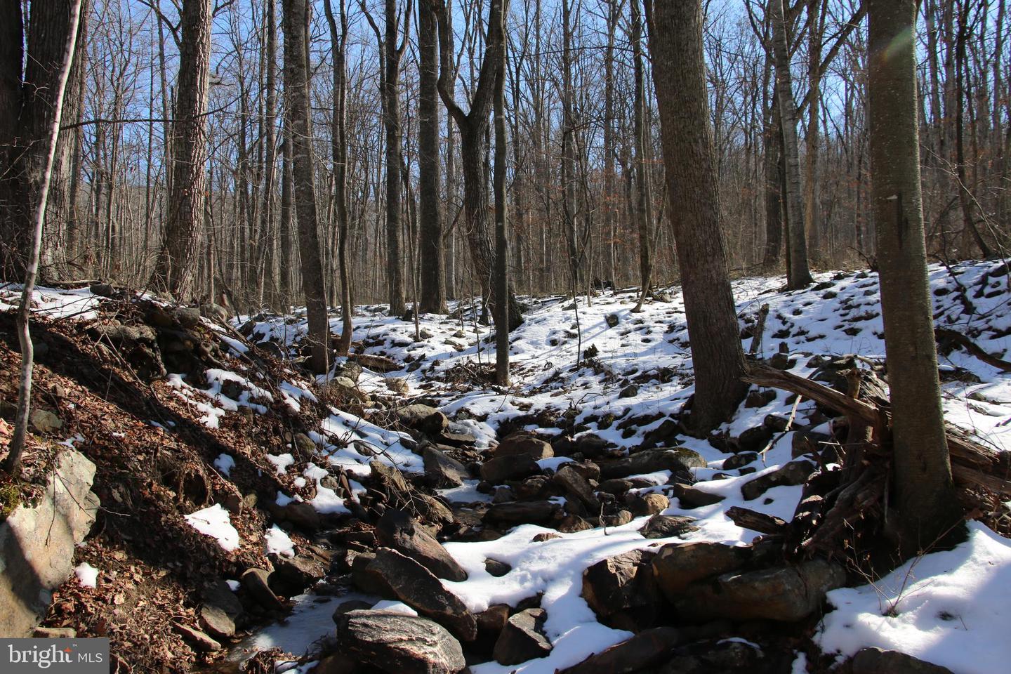 Forest Ln Property Photo 13