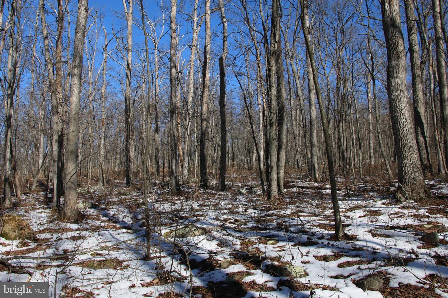 Forest Ln Property Photo 15