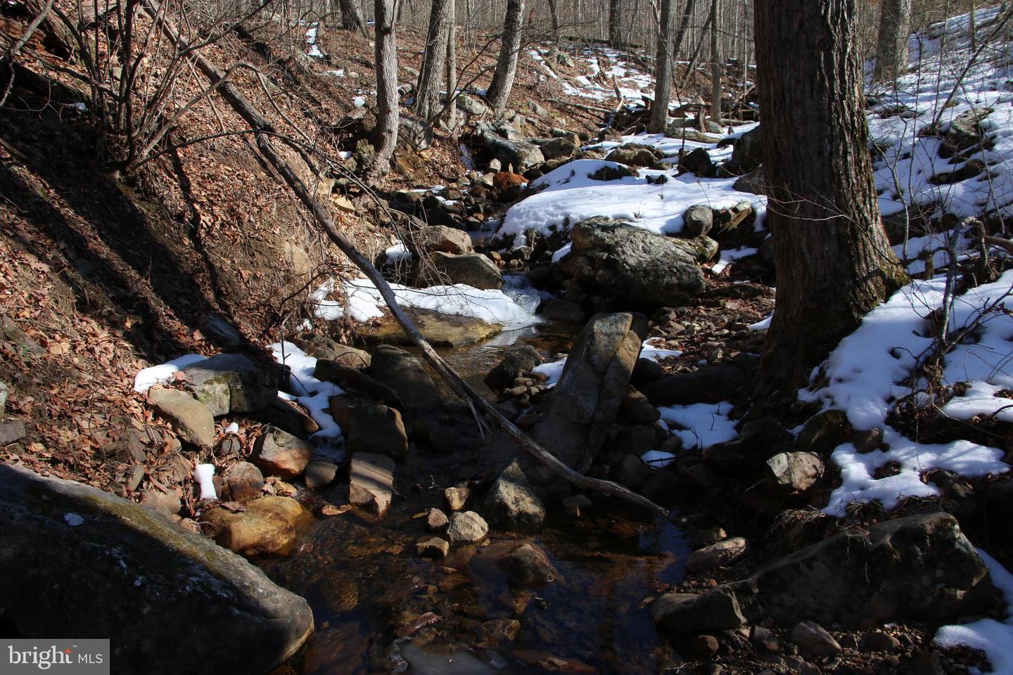 Forest Ln Property Photo 16