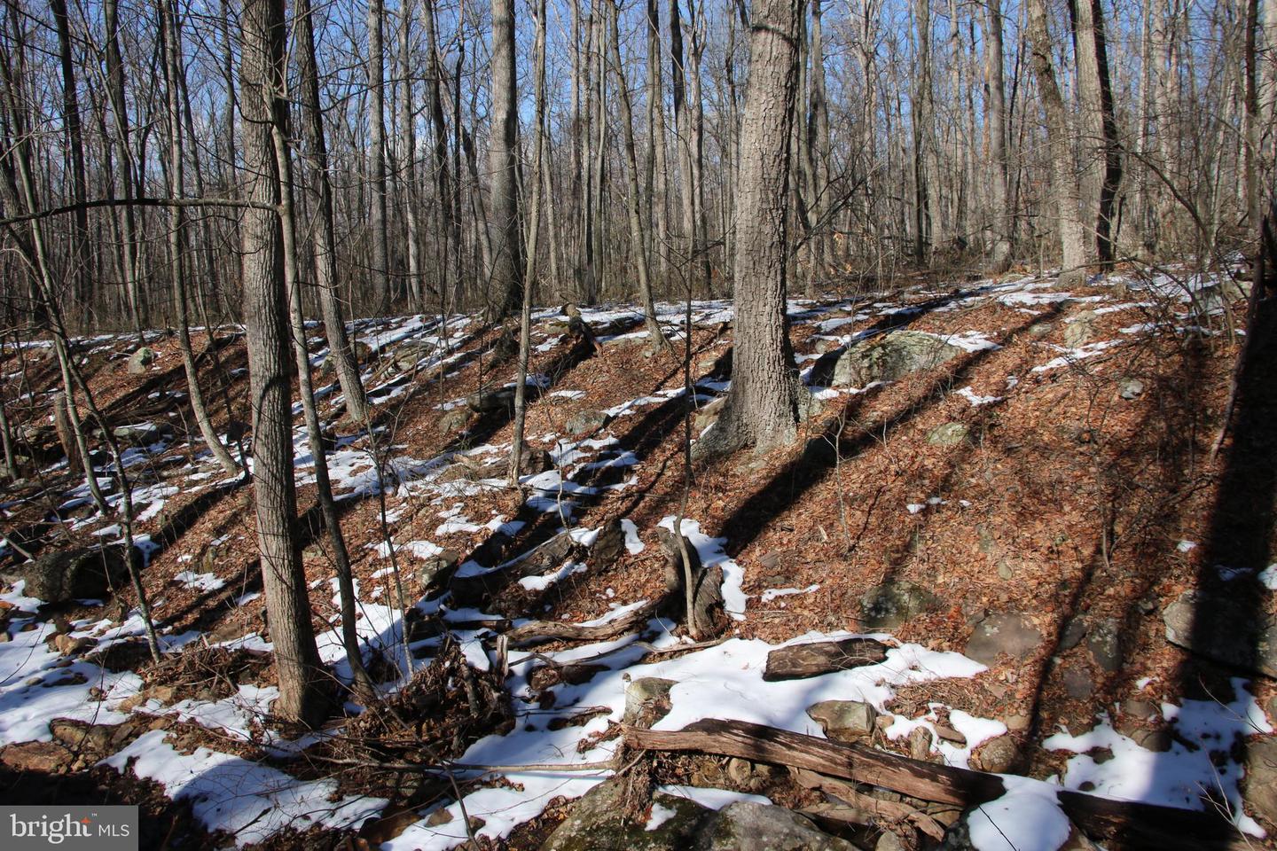 Forest Ln Property Photo 18