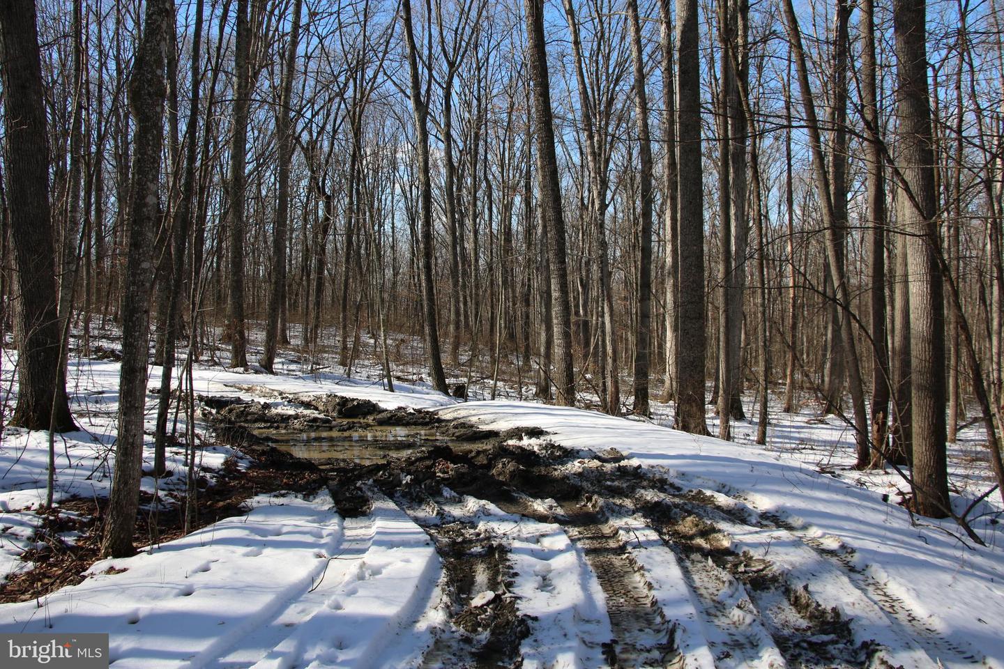Forest Ln Property Photo 20