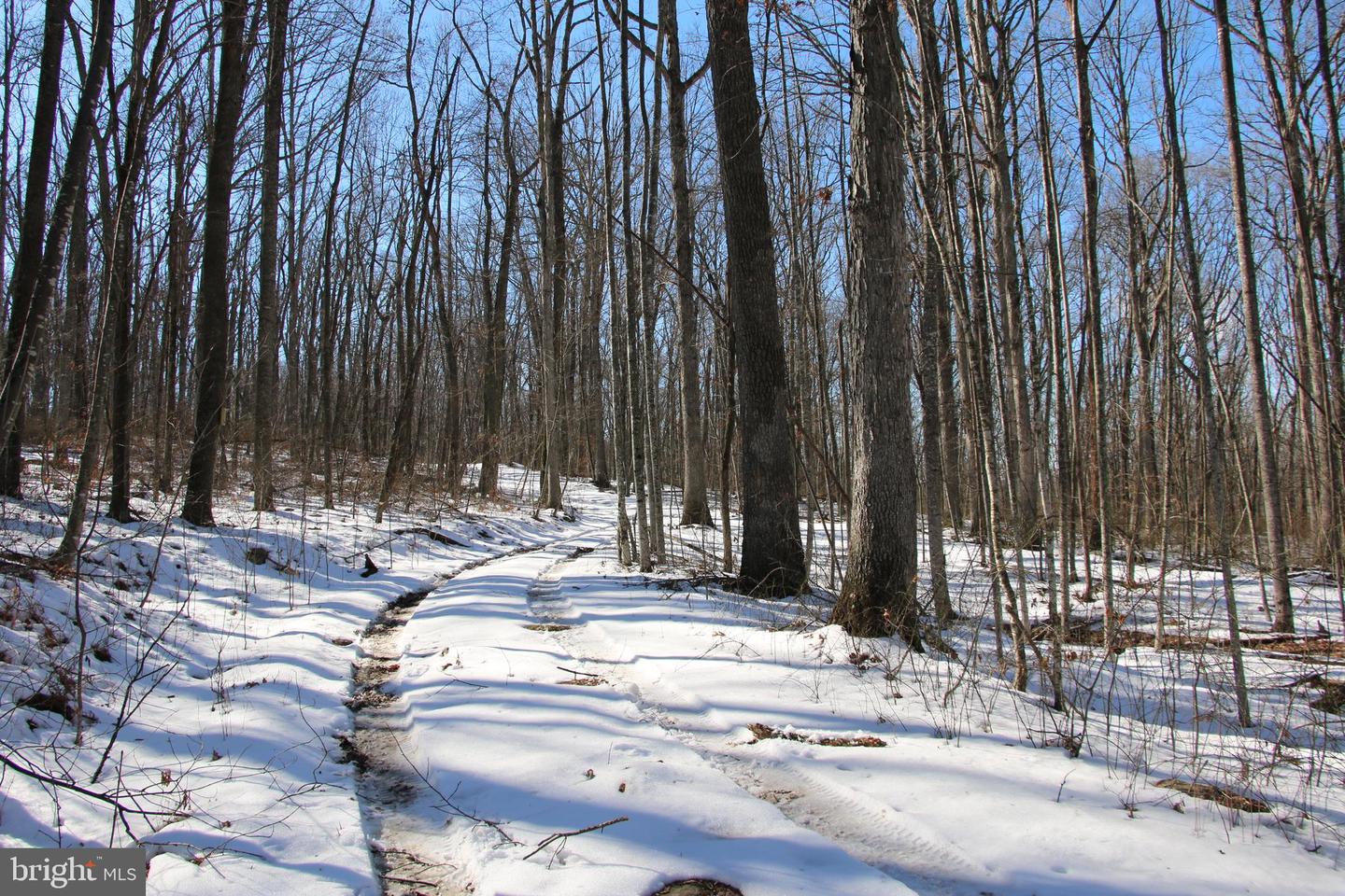 Forest Ln Property Photo 21