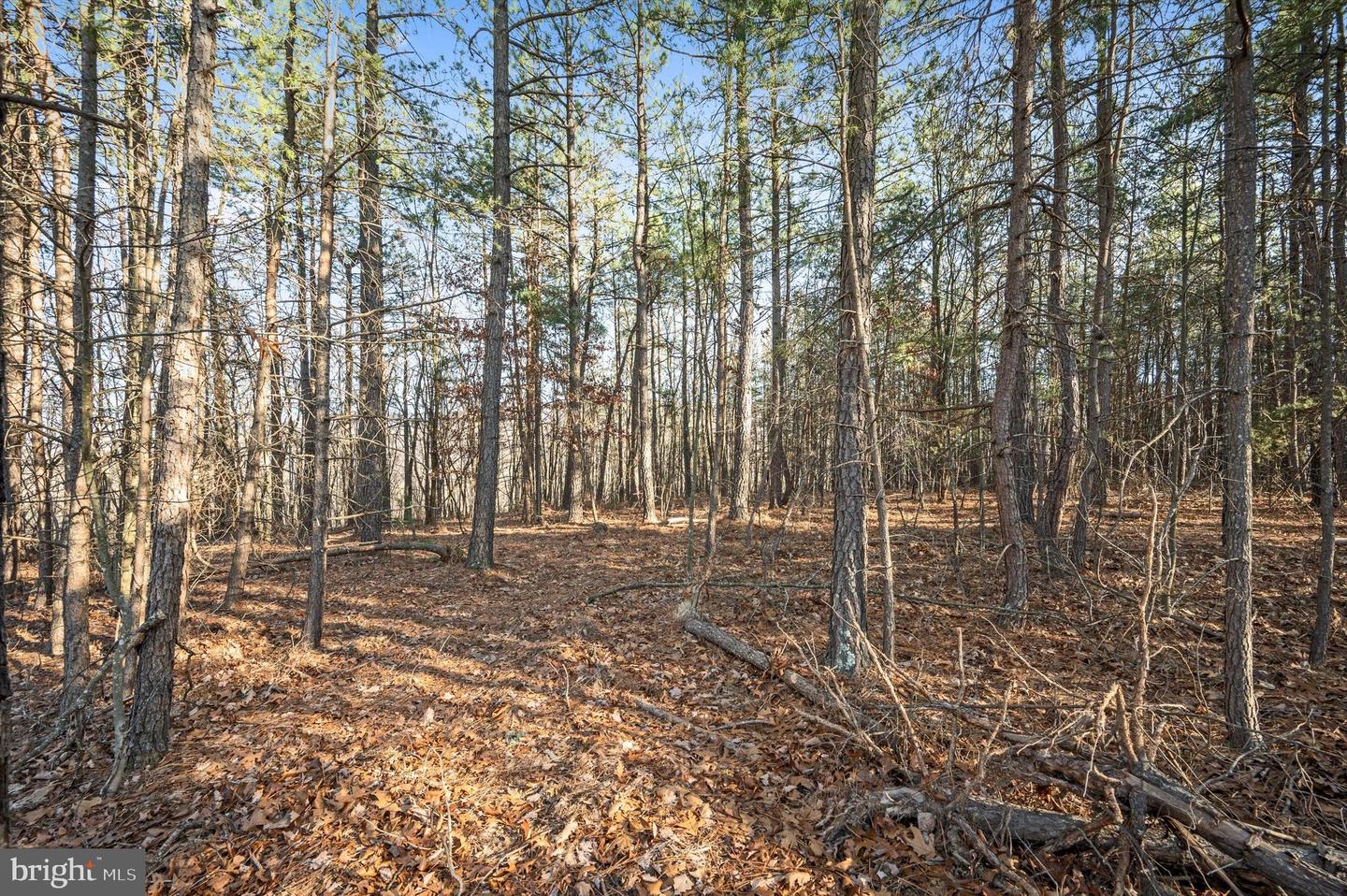 Lot 2 Back Creek Rd Property Photo 1