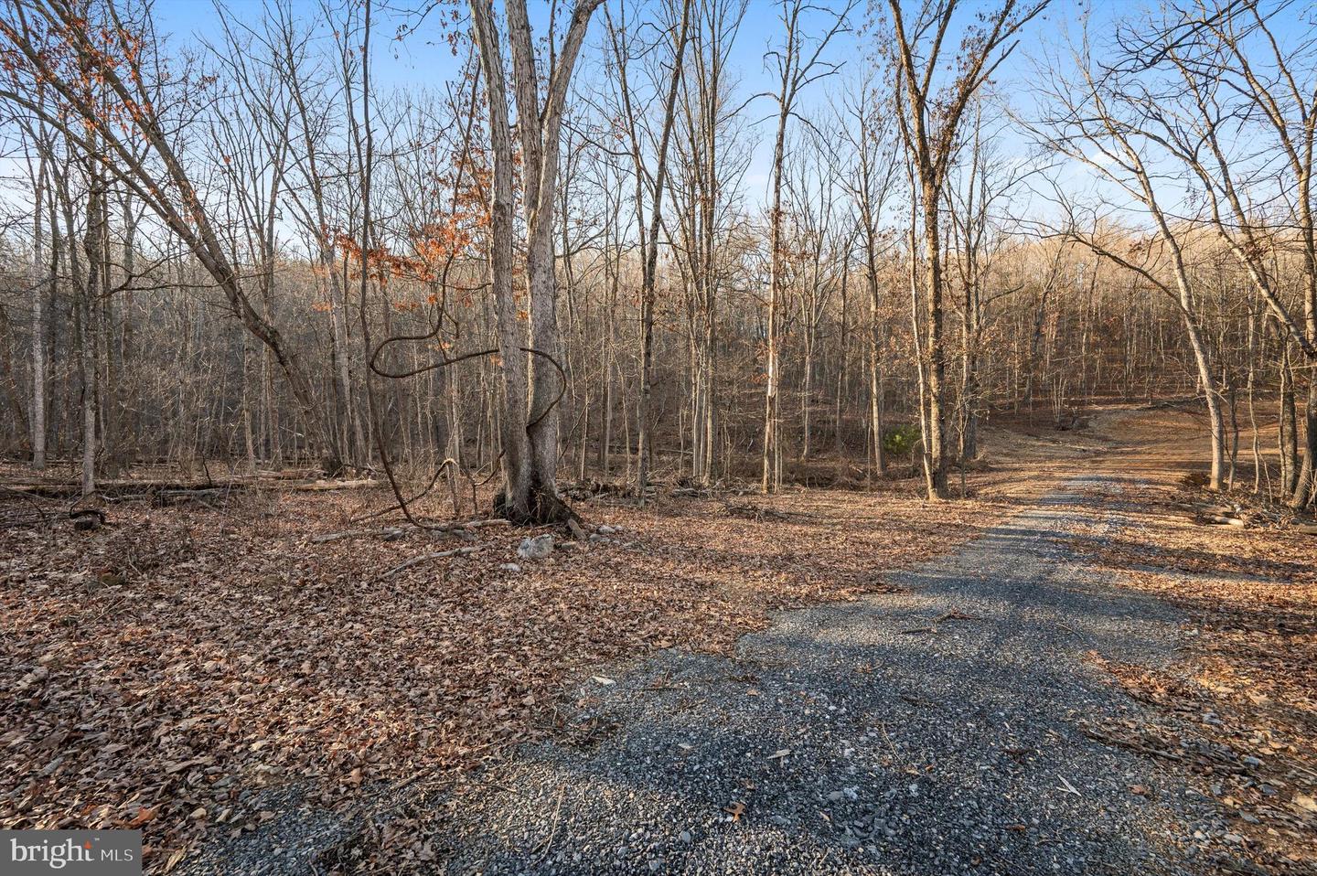 Lot 2 Back Creek Rd Property Photo 4