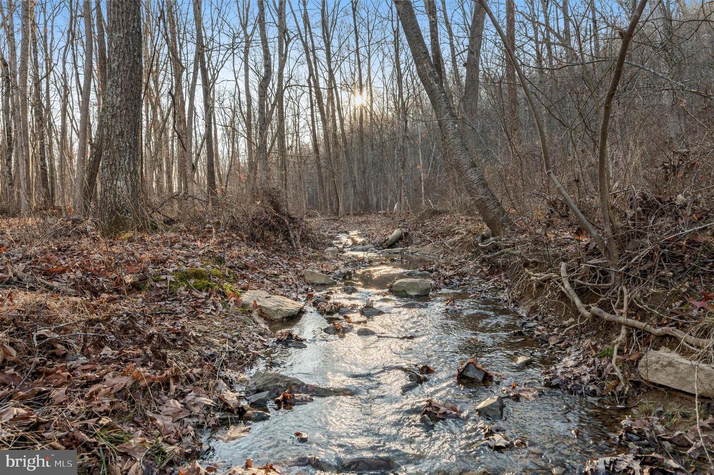 Lot 2 Back Creek Rd Property Photo 5