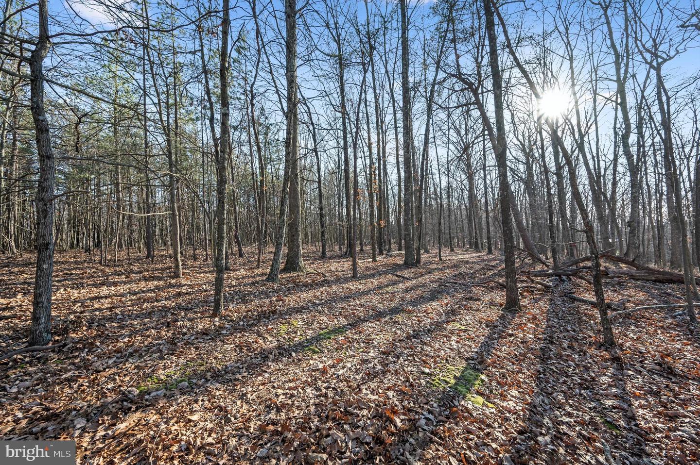 Lot 2 Back Creek Rd Property Photo 8