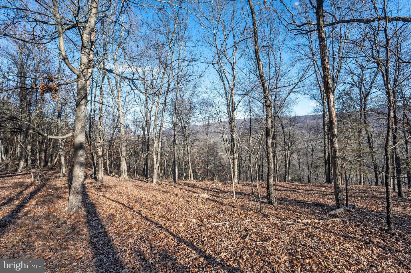 Lot 2 Back Creek Rd Property Photo 9