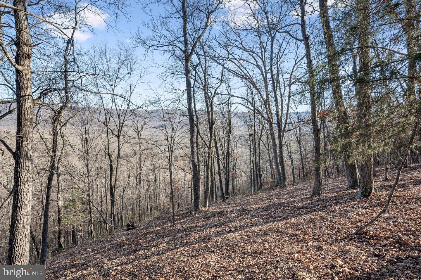Lot 2 Back Creek Rd Property Photo 10