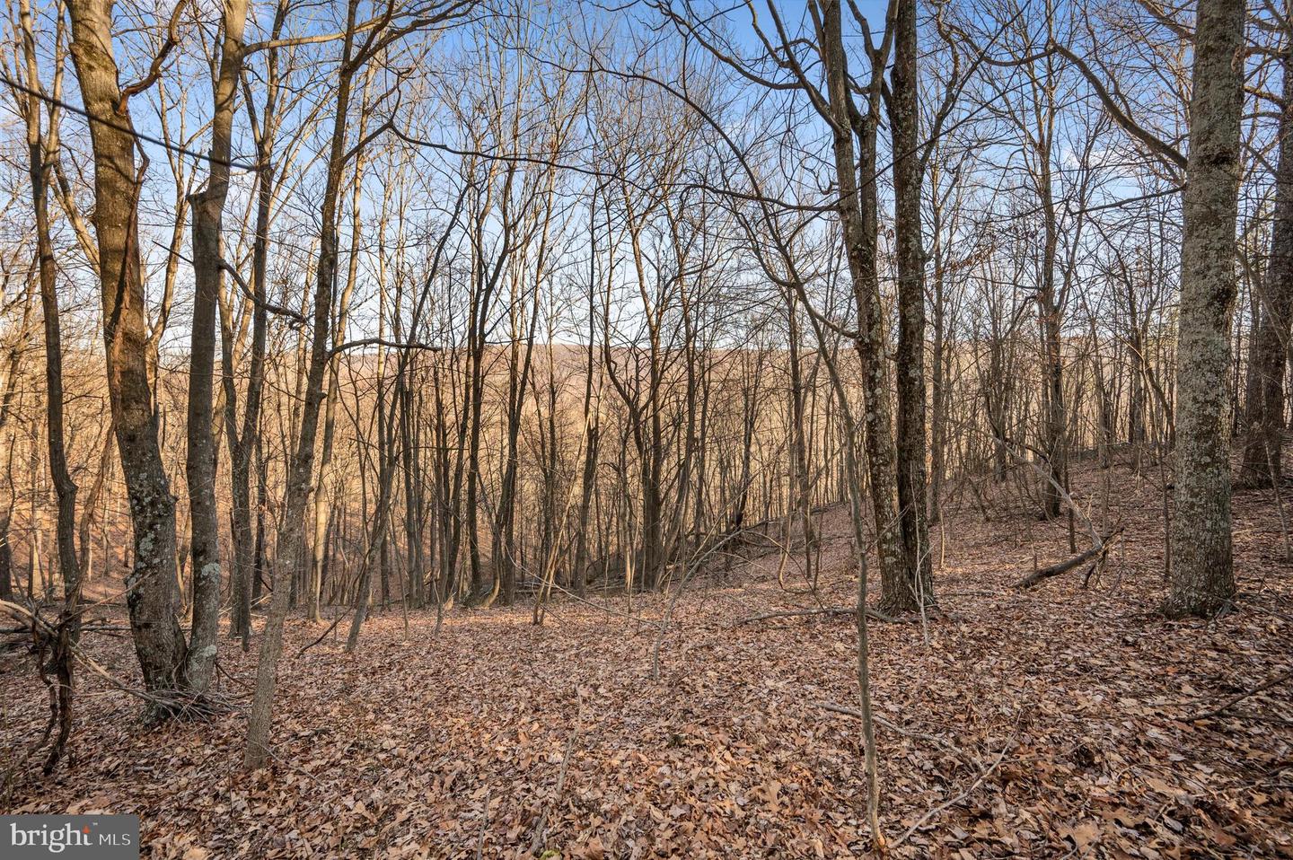 Lot 2 Back Creek Rd Property Photo 11
