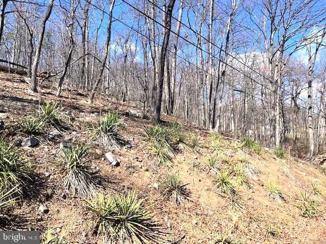 0 Hawk Trail Lot 155 Property Photo 8