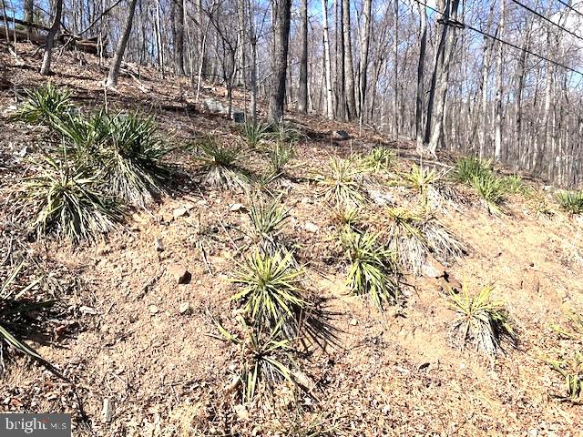 0 Hawk Trail Lot 155 Property Photo 9
