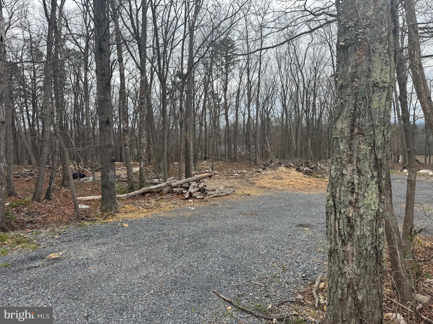 Bluebird Trail Property Photo 1