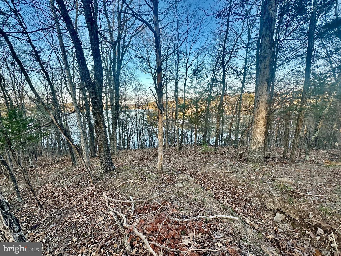 Lot 34 Southwood Dr Property Photo 2