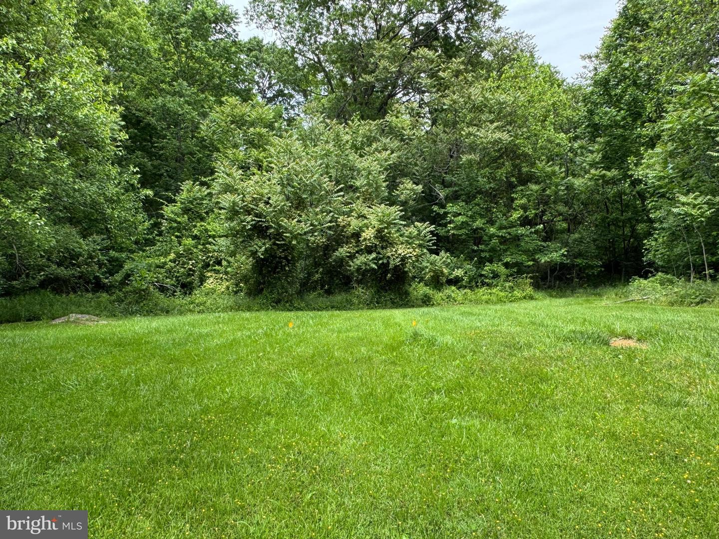 386 Round Hill Road Property Photo 15