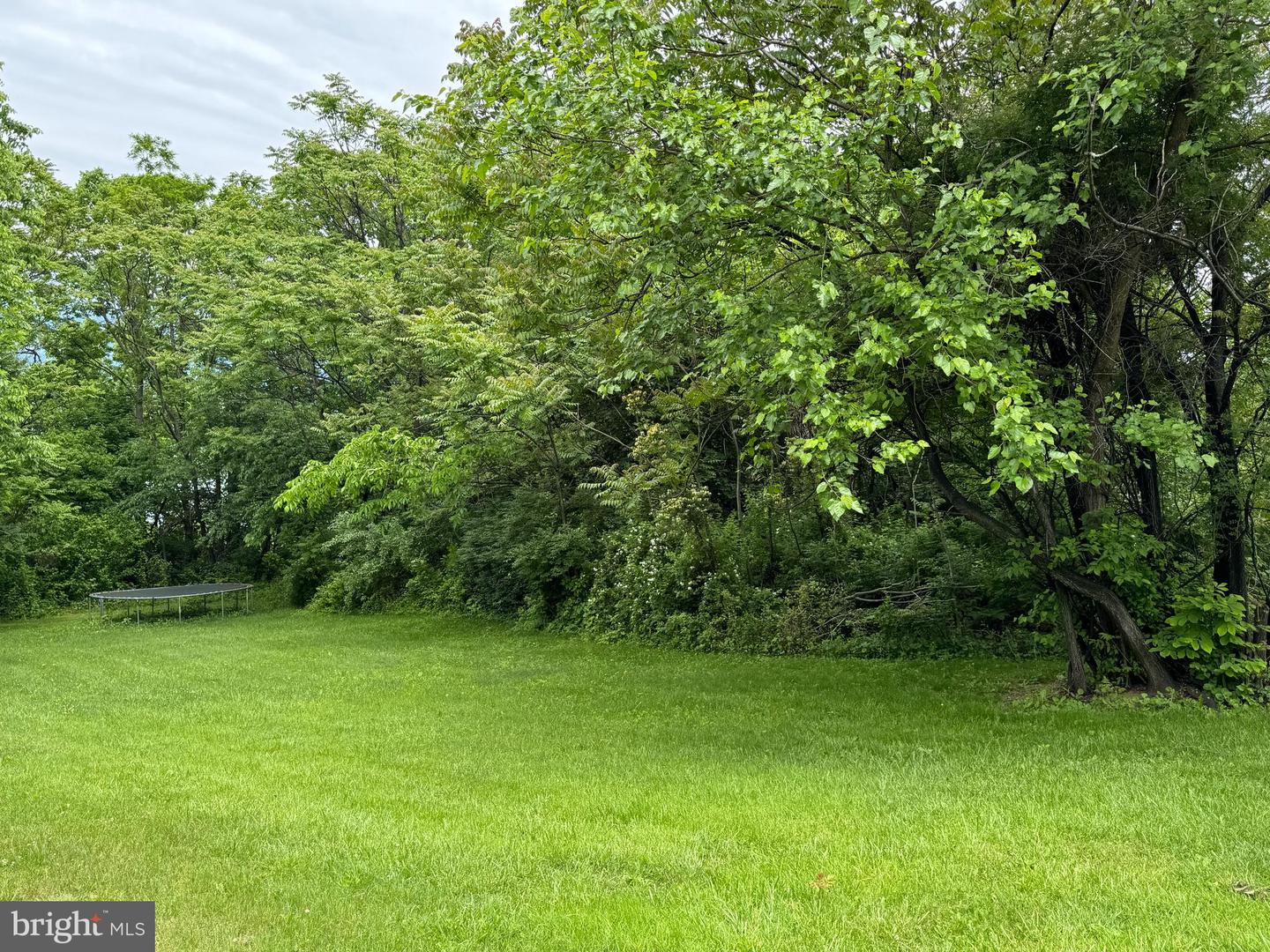 386 Round Hill Road Property Photo 16