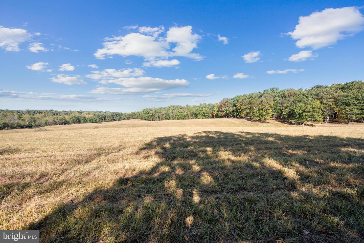 Lot 5 Gun Club Road Property Photo 1
