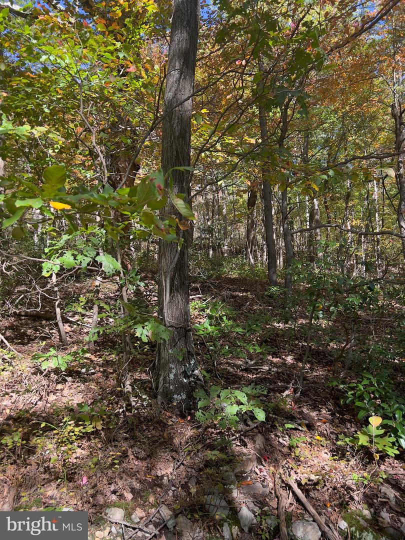 -lot 5a Fox Trl Property Photo 1