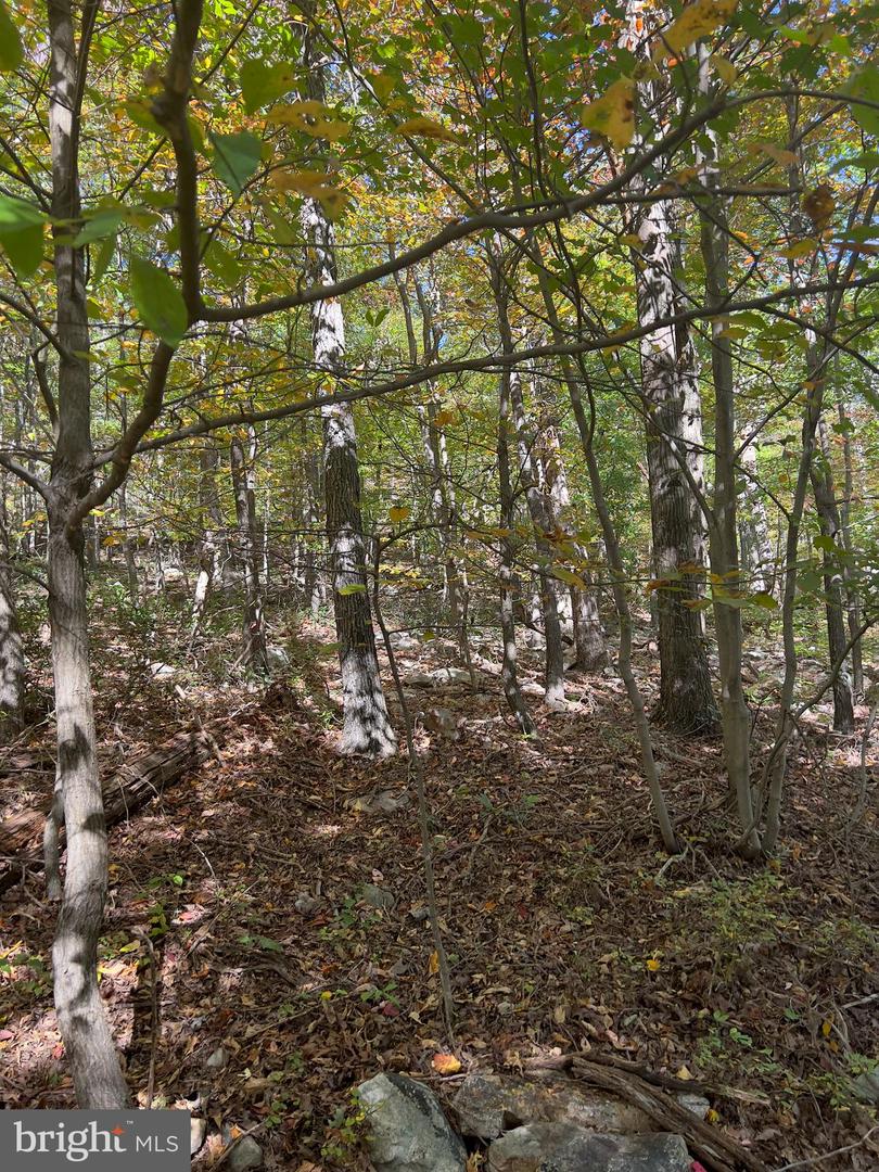 -lot 5a Fox Trl Property Photo 9