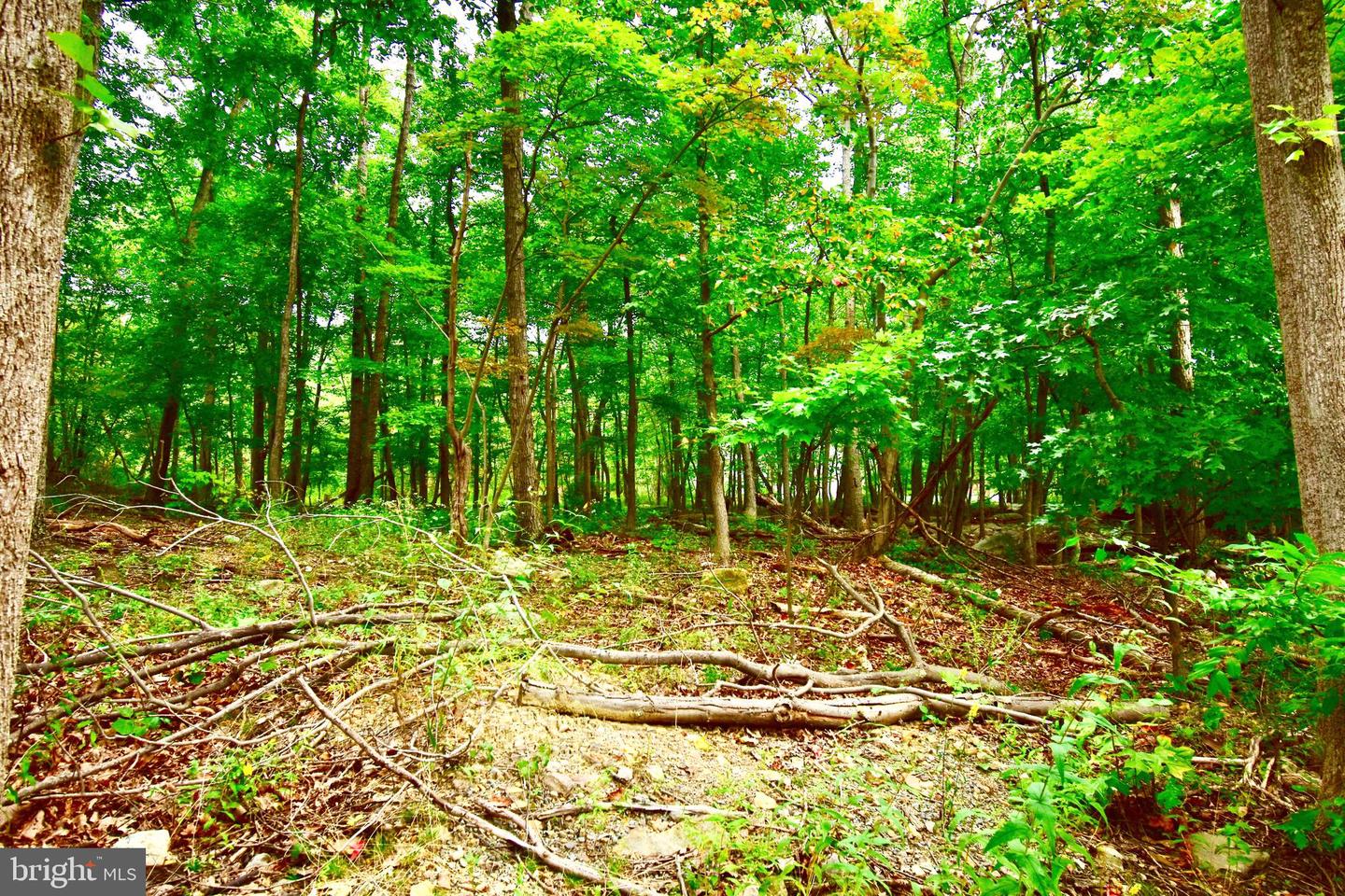 -lot 5a Fox Trl Property Photo 12