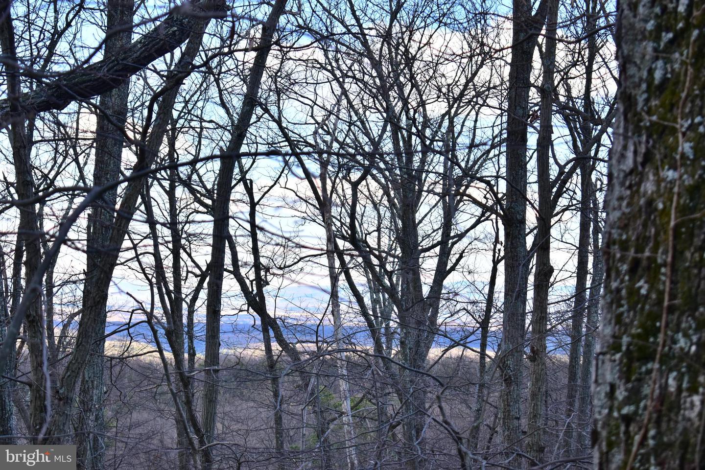 -lot 5a Fox Trl Property Photo 16